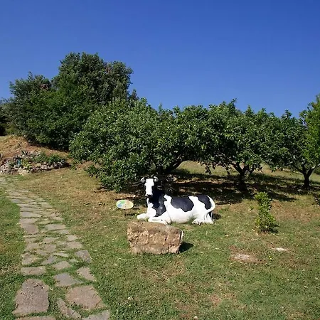 Villino Il Corbezzolo A Casa Conti Di Sotto * Gavorrano