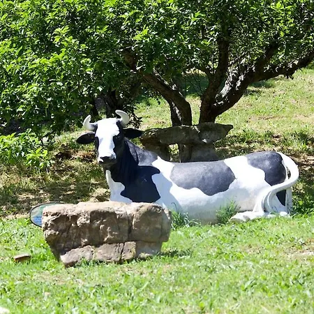 Villino Il Corbezzolo A Casa Conti Di Sotto *